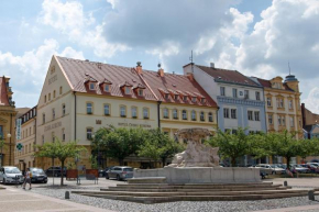 Отель Hotel Česká Koruna  Дечин